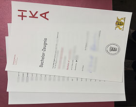 Hochschule Karlsruhe Zeugnis, HKA transcript sample