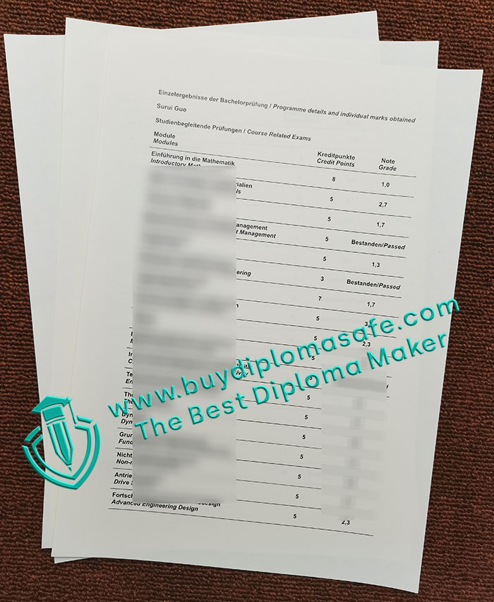 Hochschule Rhein-Waal transcript Hochschule Rhein-Waal transcript