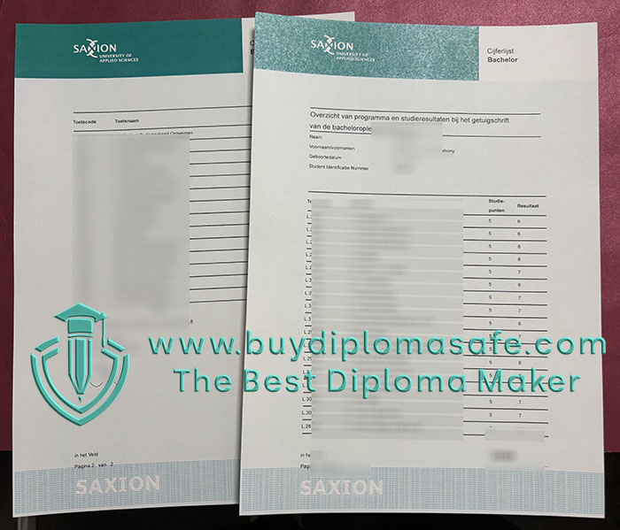 Hogeschool Saxion transcript