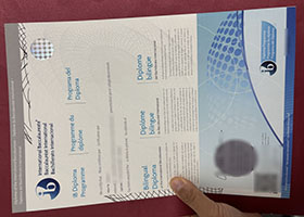 IB diploma, Order a fake International Baccalaureate Diploma