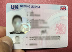 UK Driving Licence sample