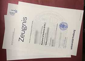 Albert-Ludwigs-Universität Freiburg Zeugnis sample