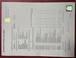 Anglia Ruskin University Transcript