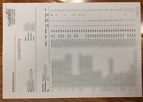 Heinrich-Heine-Universität Düsseldorf transcript