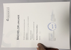 Hochschule Fresenius Urkunde