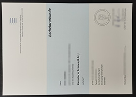 Hochschule für Angewandte Wissenschaften Hamburg Urkunde sample