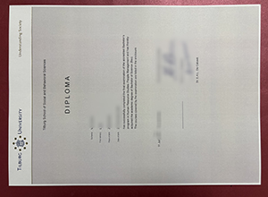 Tilburg University Diploma