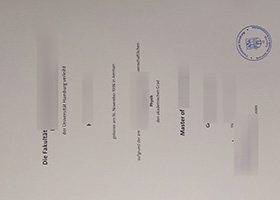 Universität Hamburg Urkunde