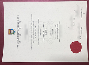 University of Hong Kong (HKU) Degree