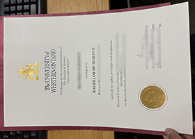 Western University Degree certificate